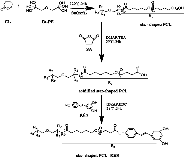 一種星型聚己內(nèi)酯-白藜蘆醇聚合物的制備方法
