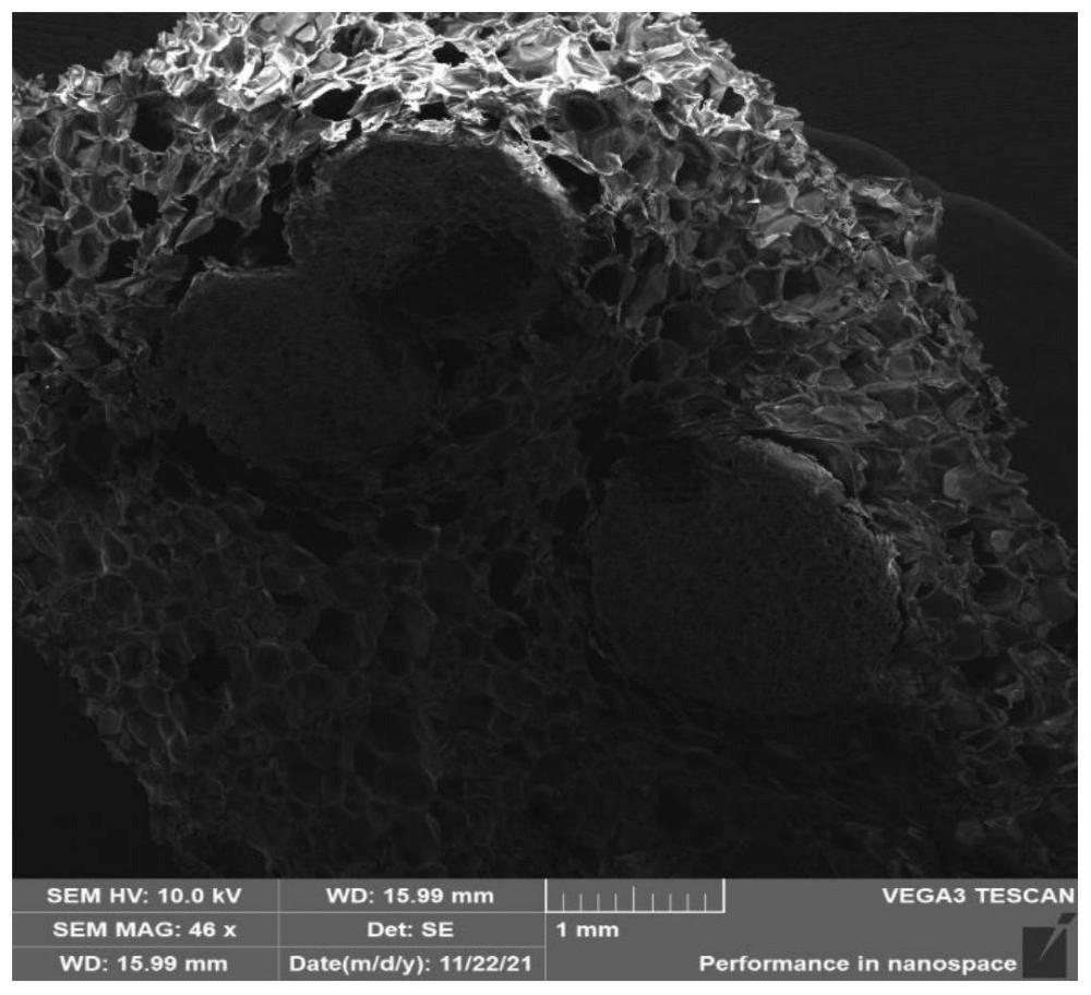 一種改性可發(fā)性聚苯乙烯顆粒、制備方法及其應(yīng)用