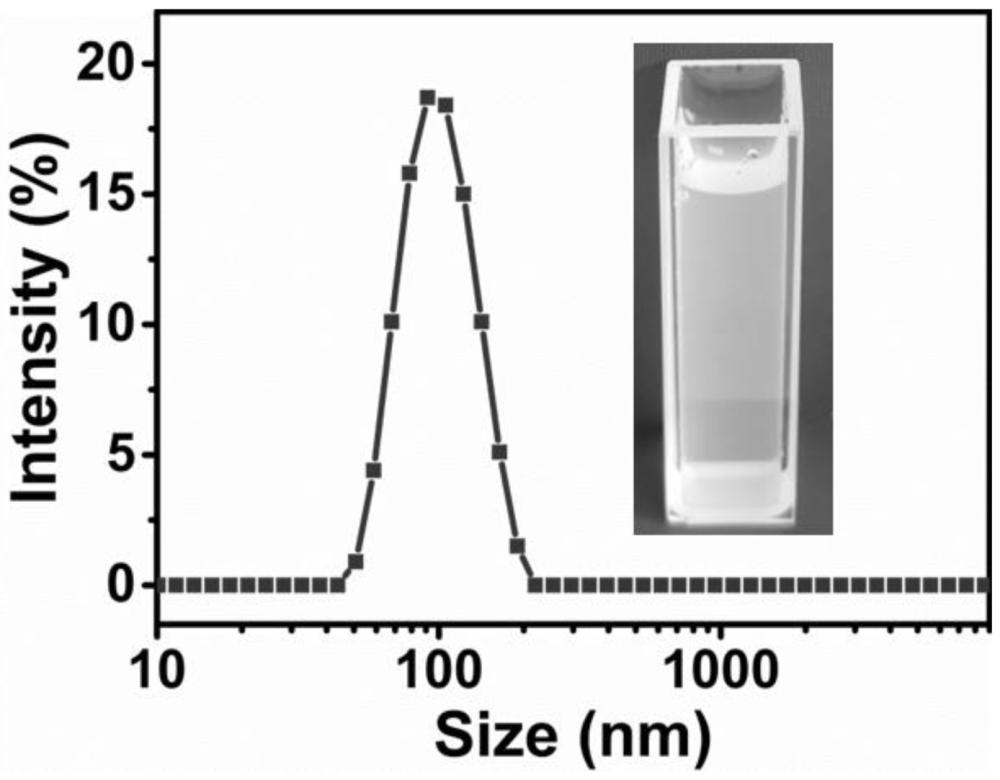 一種棉酚-雙氫青蒿素自組裝納米粒的制備方法及應用