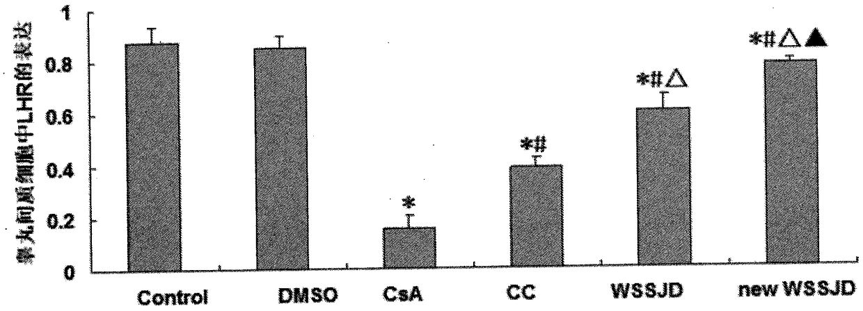 一種新溫腎生精飲及其制備方法