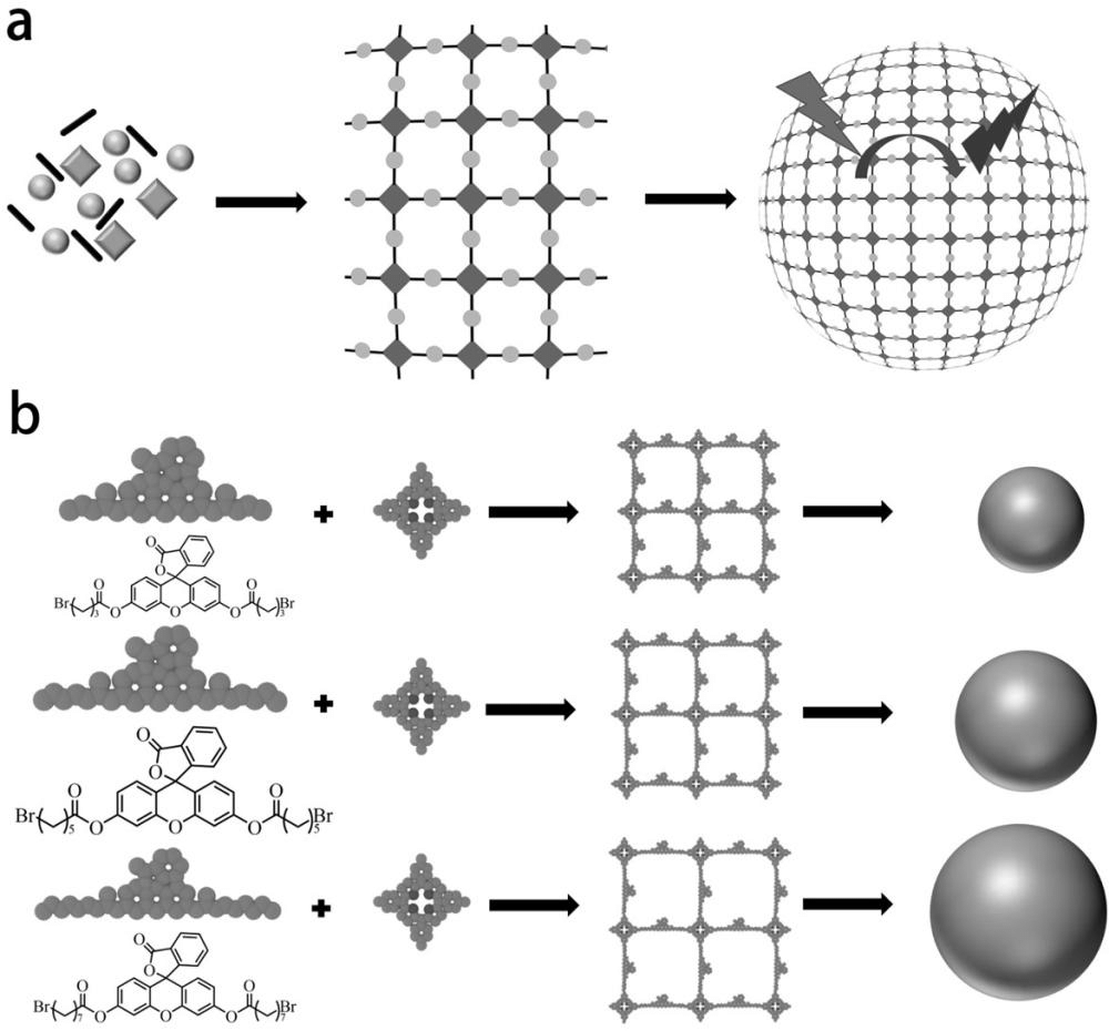 一種基于共價(jià)組裝體的人工光捕獲系統(tǒng)及其構(gòu)建方法