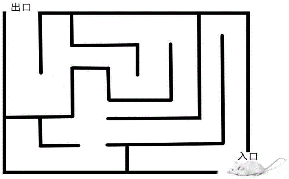 一種黑色食品發(fā)酵型復(fù)合小分子肽、口服液及制備方法和應(yīng)用