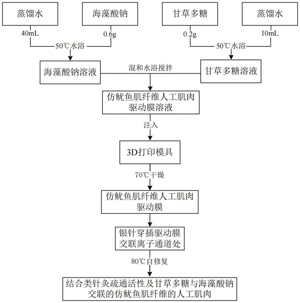 一種類針灸仿魷魚肌纖維的人工肌肉輸出力改善工藝