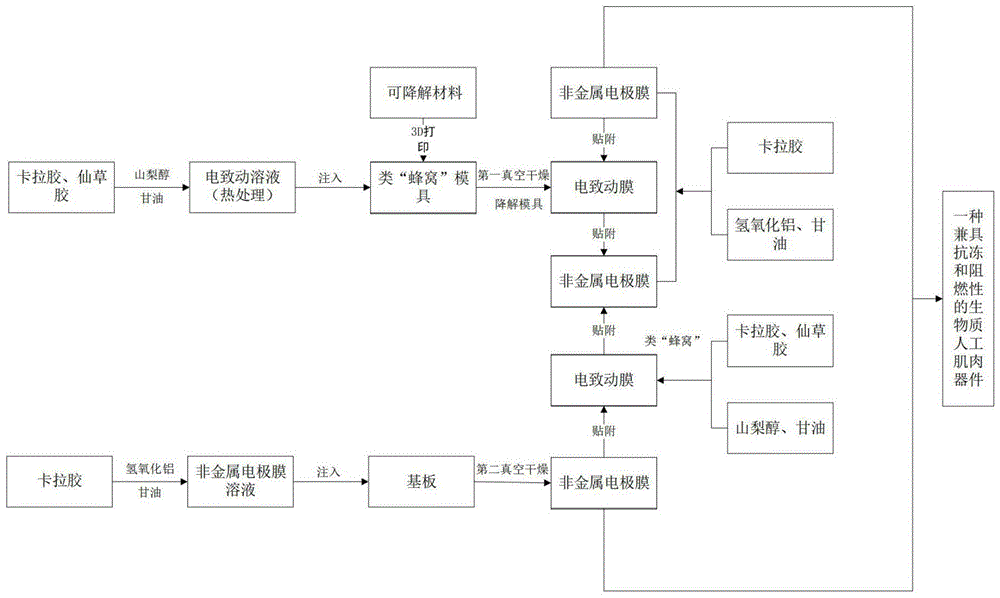 一種生物聚合物人工肌肉及其制備方法和應(yīng)用