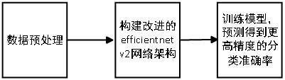 基于改進的EfficientNetV2網(wǎng)絡(luò)的腦腫瘤分類方法