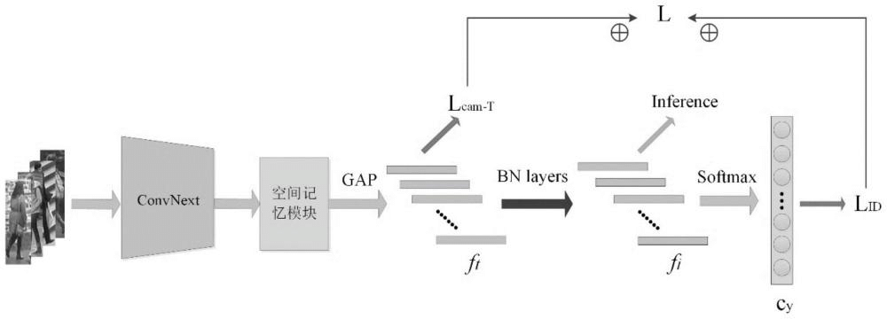 一種基于單尺度特征表達的遮擋行人重識別方法